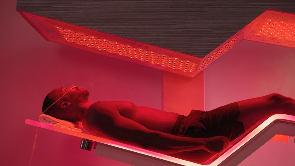 Ammortal Chamber | Ammortal