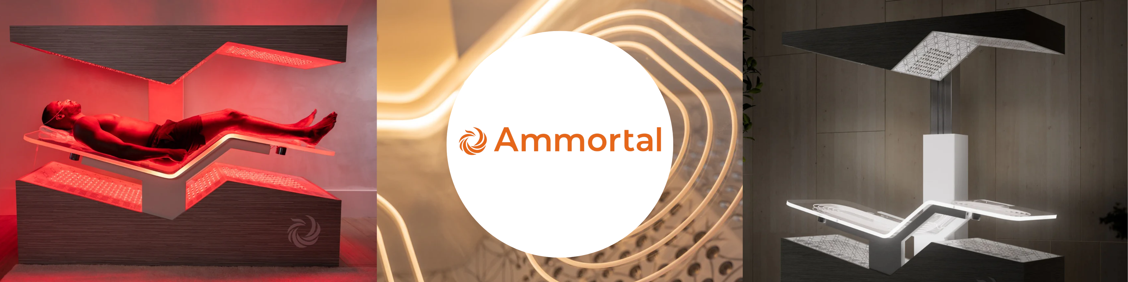 Ammortal