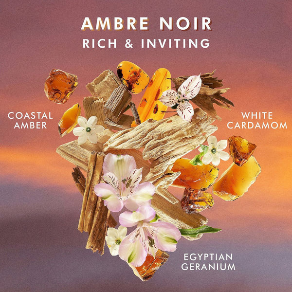 Close-up of natural ingredients including coastal amber, white cardamom, and Egyptian geranium arranged artistically on a warm gradient background for the Shower Gel | Moroccanoil fragrance description.