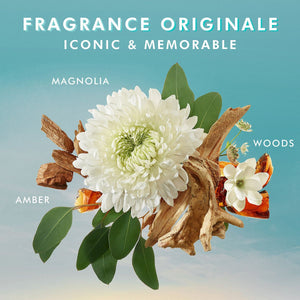 White magnolia flower surrounded by amber, green leaves, driftwood, and small white flowers representing iconic and memorable fragrance notes for Shower Gel | Moroccanoil.