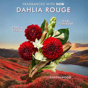 Close-up of red dahlia petals, white pearl tuberose flowers, and sandalwood pieces against a scenic landscape background, highlighting the fragrance notes for Shower Gel | Moroccanoil.