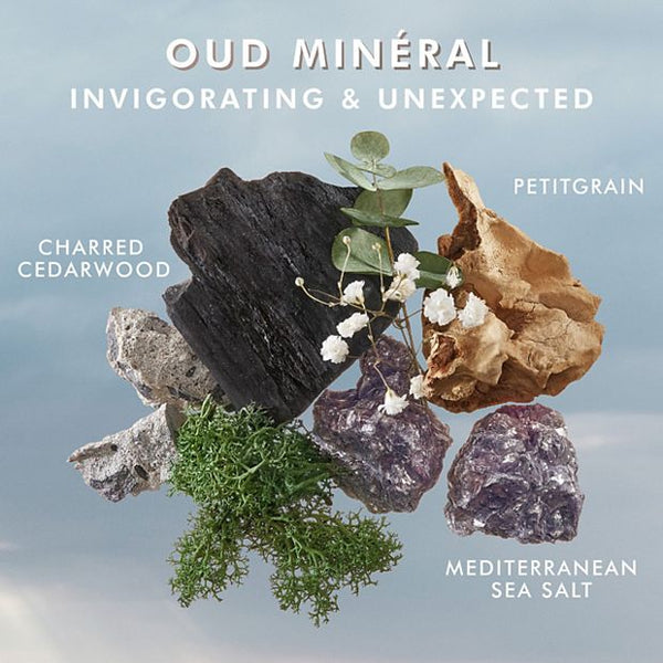 Natural ingredients including charred cedarwood, petitgrain, Mediterranean sea salt, and greenery arranged to represent the Oud Minéral scent for Hand Cream | Moroccanoil in a spa-inspired skincare concept.