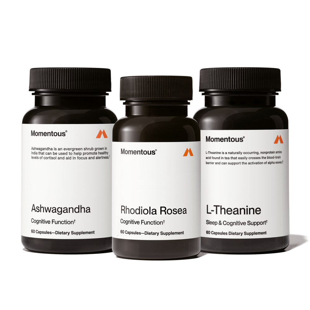 Three dark bottles of dietary supplements labeled Ashwagandha, Rhodiola Rosea, and L-Theanine, arranged side by side with clean white labels, representing the Adaptogen Stack for cognitive function and wellness.