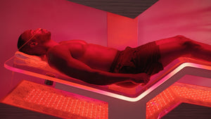 Ammortal Chamber | Ammortal