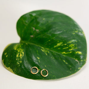 Two small textured gold circle earrings resting on a large green leaf, showcasing Small Opihi Circle Posts | Catherine Weitzman Jewelry in a natural, minimalist setting.