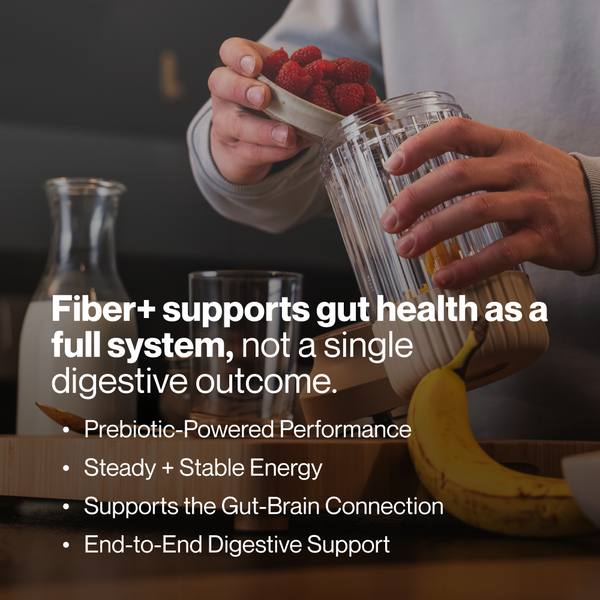 Person adding raspberries into a glass blender container with bananas nearby, promoting Fiber+ for gut health, prebiotic support, stable energy, and digestive wellness supplements.