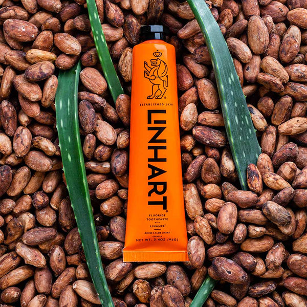 Linämel Toothpaste | LINHART tube placed on a bed of cocoa beans with aloe vera leaves, highlighting natural ingredients and wellness in oral care.