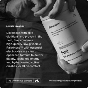 Fuel