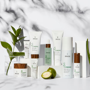 Assorted IMAGE Skincare ORMEDIC sheer pink lip enhancement complex | IMAGE Skincare and other skincare products displayed with green leaves and fresh fruit, highlighting natural wellness and body care.