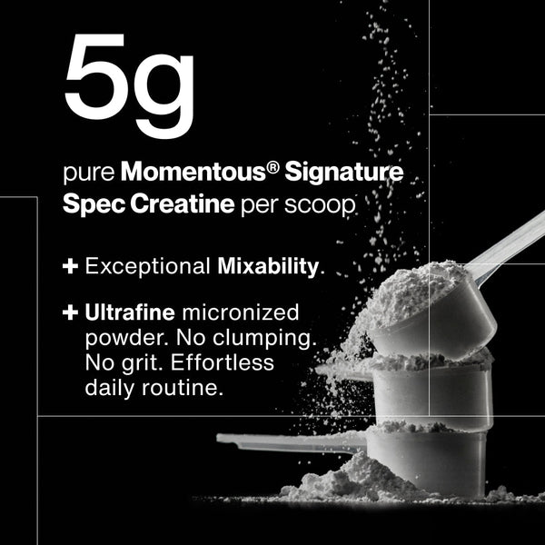 Close-up of a white scoop filled with fine creatine powder being poured, highlighting 5g pure Momentous Signature Spec Creatine per scoop with exceptional mixability and ultrafine micronized powder, promoting no clumping or grit for an effortless daily routine with Creatine 15-Travel Packs.