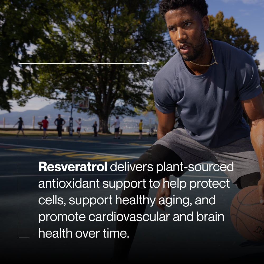 Black bottle of Resveratrol dietary supplement with white label highlighting plant-based polyphenol and antioxidant benefits for foundational health and wellness.