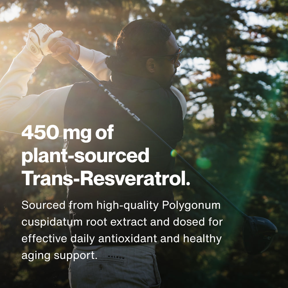 Black bottle of Resveratrol dietary supplement with white label highlighting plant-based polyphenol and antioxidant benefits for foundational health and wellness.