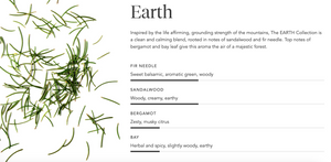 Earth scent profile for Aromatic Candle | Zents featuring top notes of bergamot and bay leaf, heart notes of sandalwood, and base notes of sweet balsamic fir needle.