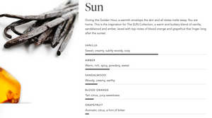 Close-up of vanilla pods and amber resin highlighting warm, cozy notes of vanilla, amber, sandalwood, blood orange, and grapefruit for Eau de Toilette | Zents.