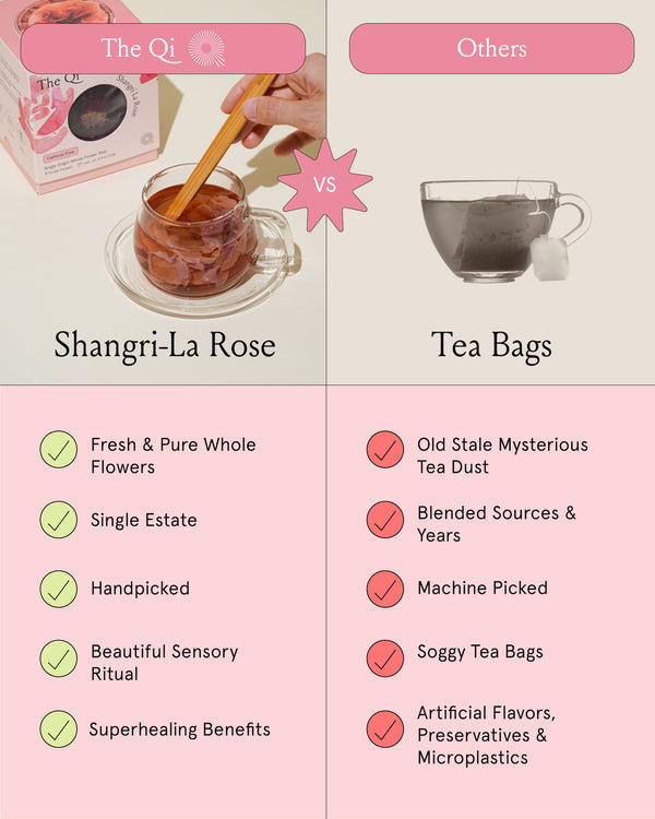 Shangri-La Rose | The Qi