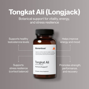 Bottle of Tongkat Ali dietary supplement on a gray background with text highlighting benefits such as supporting healthy testosterone levels, stress resilience, improved energy and mood, and promoting strength and recovery.