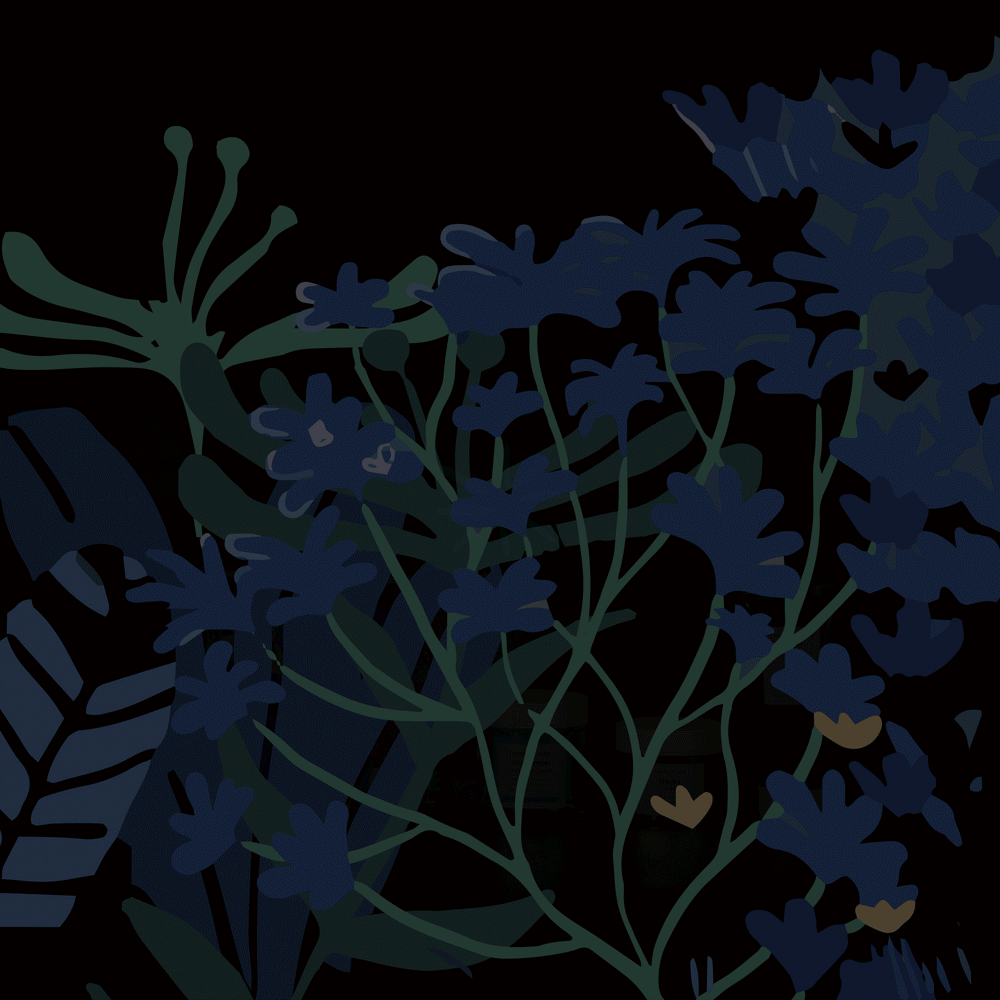 Kit Night Garden | [ comfort zone ]