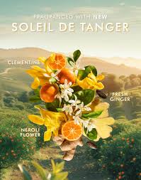 A vibrant arrangement of clementine, fresh ginger, and neroli flowers set against a scenic landscape, highlighting the fresh fragrance in Hand Cream | Moroccanoil for skincare and wellness.