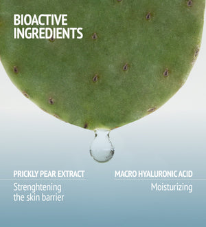 Close-up of a prickly pear leaf with a drop falling from its edge, highlighting bioactive ingredients prickly pear extract for strengthening the skin barrier and macro hyaluronic acid for moisturizing in Hydramemory Water Source Serum | [ comfort zone ].