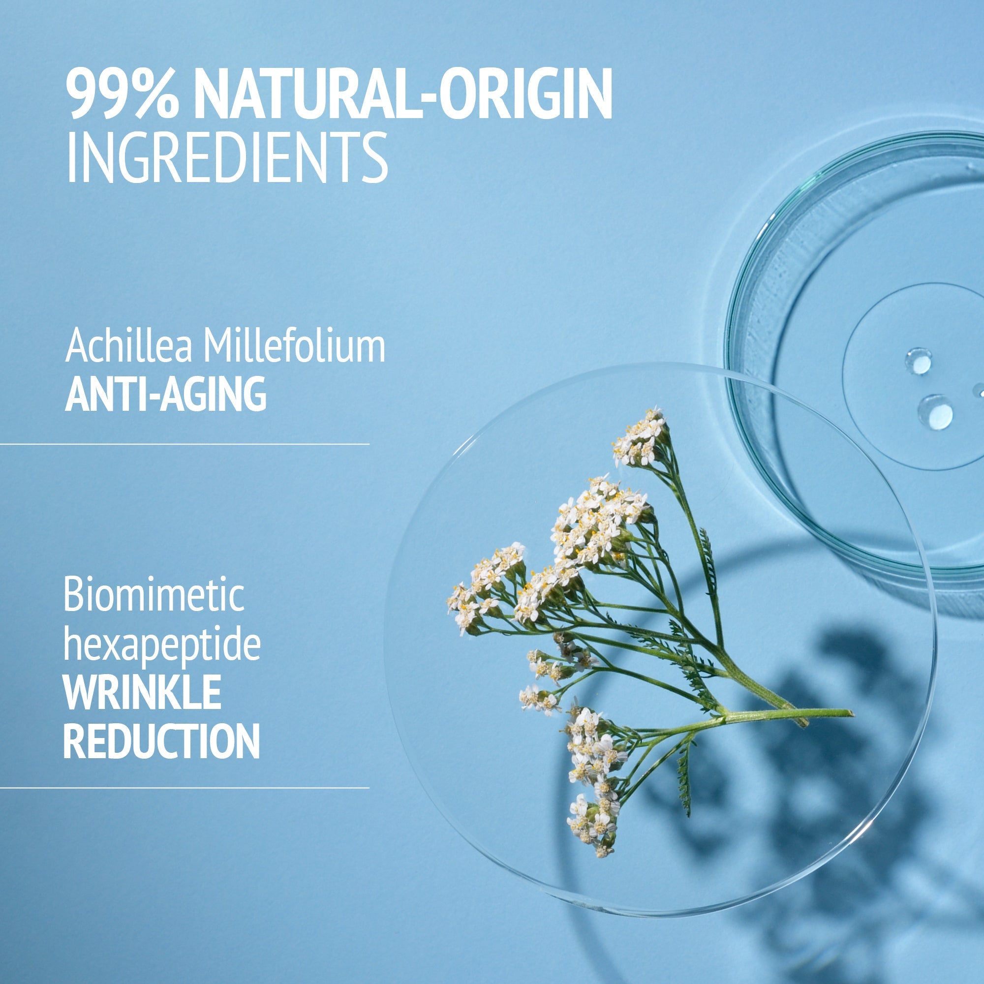 Kit Italian Garden | [ comfort zone ]