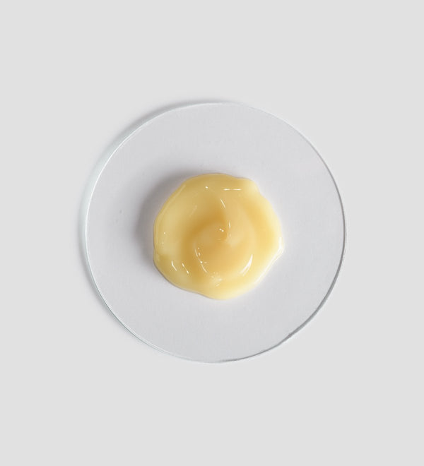 Creamy pale yellow skincare product sample on a clear round dish representing Sacred Nature Exfoliant Mask | [ comfort zone ] in a minimal white background setting
