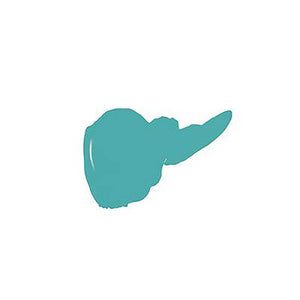 Swatch of turquoise nail polish representing Nourishing Vegan Nail Color | Nature Bathing 0.5 fl oz | One-Step Nail Polish Formula | Sparitual.