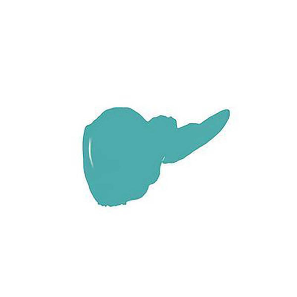 Swatch of turquoise nail polish representing Nourishing Vegan Nail Color | Nature Bathing 0.5 fl oz | One-Step Nail Polish Formula | Sparitual.