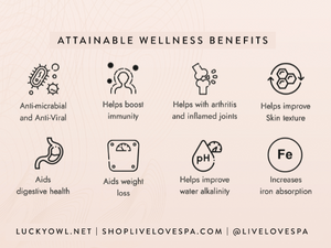 Classic Copper Bottle (24oz) | Lucky Owl